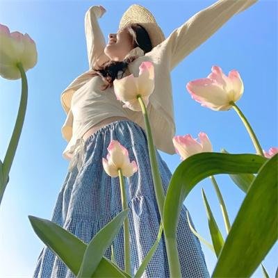 卫星女孩和奶牛